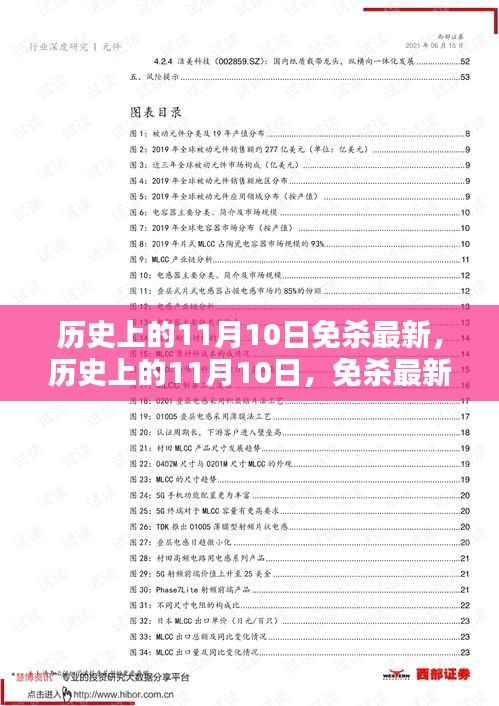 历史上的11月10日,全面解析最新免杀技术