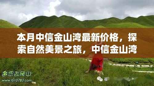 中信金山湾最新价格,自然美景之旅与宁静乐园的探寻