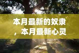 心灵私奔之旅,奴隶的解放与寻找内心平和自由的私奔之旅