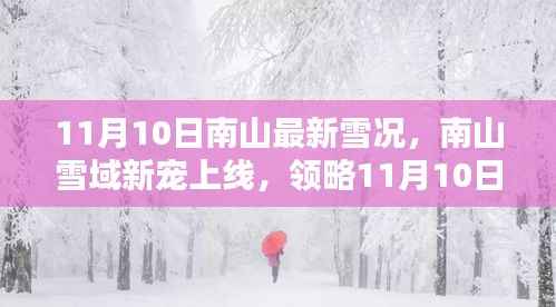 南山雪域新宠上线,领略最新雪况与高科技监测设备的前沿魅力(11月10日)