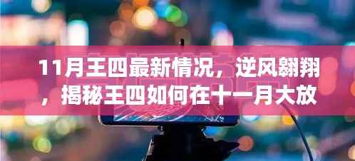 揭秘王四11月逆风翱翔之路,如何大放异彩,你也可以闪耀光芒?