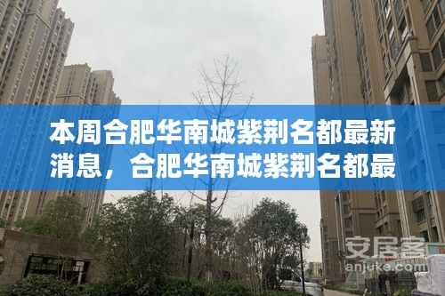 合肥华南城紫荆名都最新动态速递,掌握最新消息的步骤指南