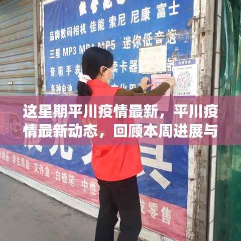 本周平川疫情最新动态回顾，进展与影响概览