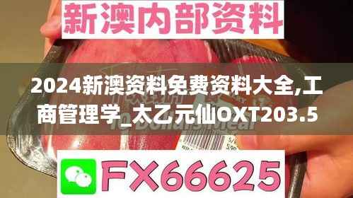 2024新澳资料免费资料大全,工商管理学_太乙元仙OXT203.5