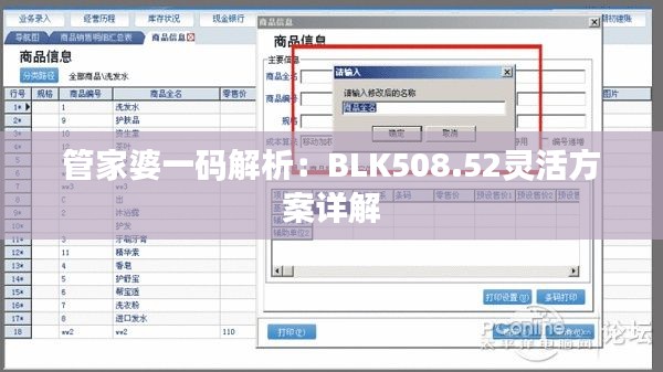 管家婆一码解析:BLK508.52灵活方案详解