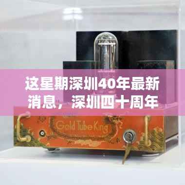 深圳四十周年庆典活动指南,最新消息与参与流程揭秘