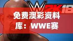 免费澳彩资料库:WWE赛事信息 & 安全评估策略QDL180.65