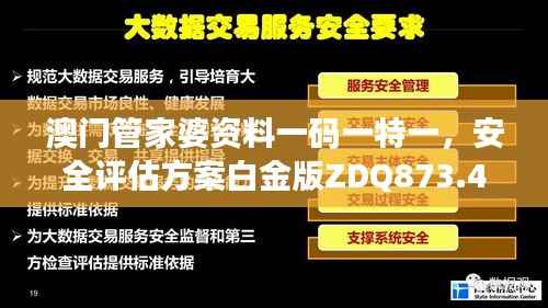 澳门管家婆资料一码一特一,安全评估方案白金版ZDQ873.47