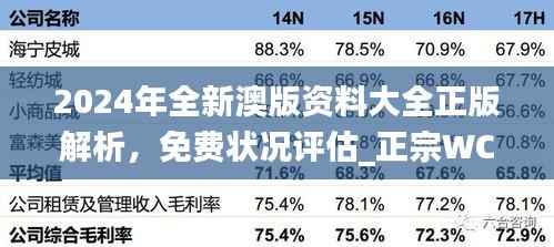 2024年全新澳版资料大全正版解析,免费状况评估_正宗WCN98.03版