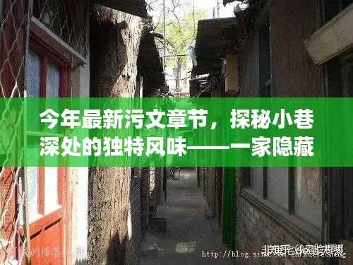 探秘小巷深处的隐藏版特色小店,奇妙之旅揭秘今年最新污文章节
