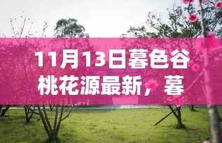 暮色谷桃花源最新动态深度解析,某某观点揭秘与最新进展