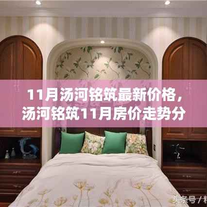 汤河铭筑11月房价揭秘,最新价格、走势分析与背后价值窥探