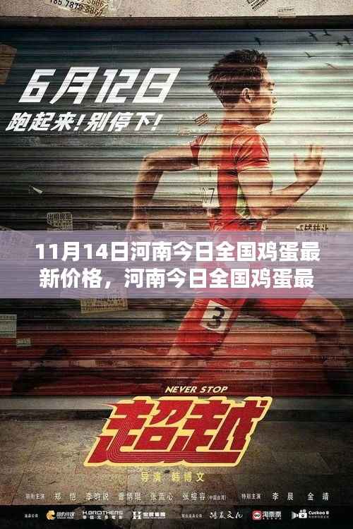 河南今日全国鸡蛋最新价格,智能蛋价监测器与未来生活的无缝对接