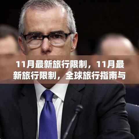 全球旅行指南,最新旅行限制与案例分析(十一月版)