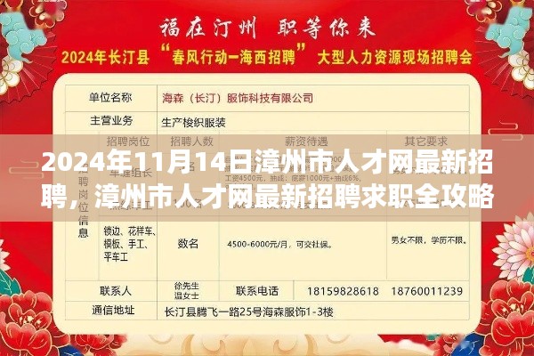 漳州市人才网最新招聘求职攻略,成功应聘心仪职位全解析(2024年11月)