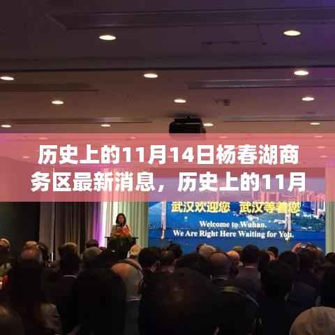 历史上的11月14日杨春湖商务区揭秘，深度解读最新发展及消息