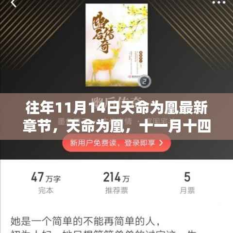 天命为凰,十一月十四日的日常与温馨篇章