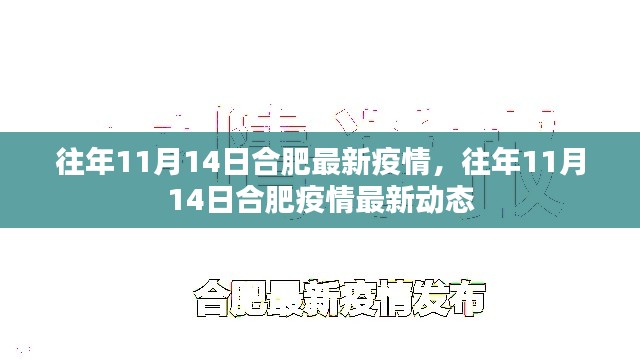 往年11月14日合肥疫情最新动态及防疫情况概述