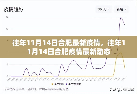 往年11月14日合肥疫情最新动态及防疫情况概述