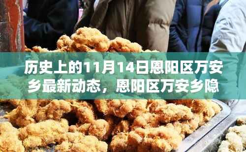 恩阳区万安乡隐秘小巷的百年风味揭秘,最新动态报道在11月14日