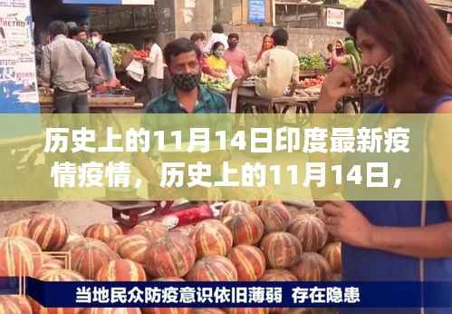 历史上的11月14日印度疫情深度解析,最新疫情状况及影响