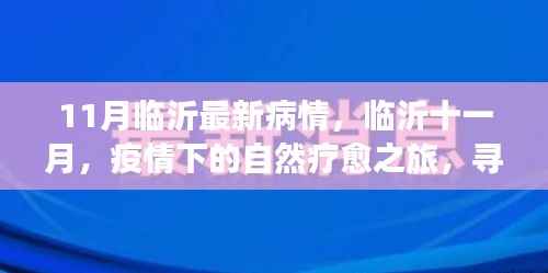 临沂十一月疫情下的自然疗愈之旅,寻找内心的宁静港湾
