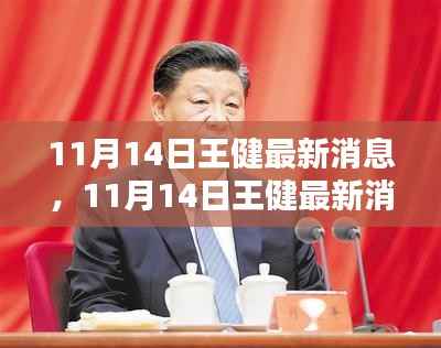 王健最新消息全面评测与介绍,11月14日更新动态揭秘!