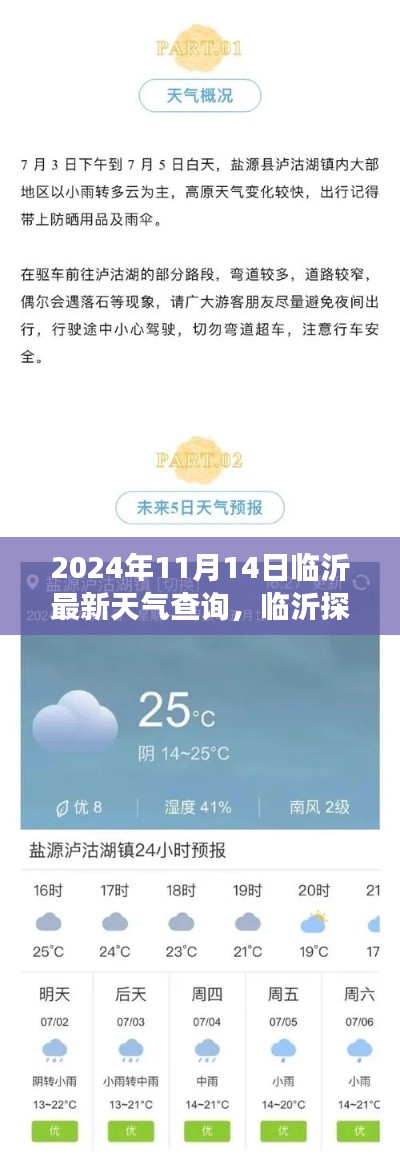 2024年11月14日临沂天气探秘,宁静之旅与天气奇遇