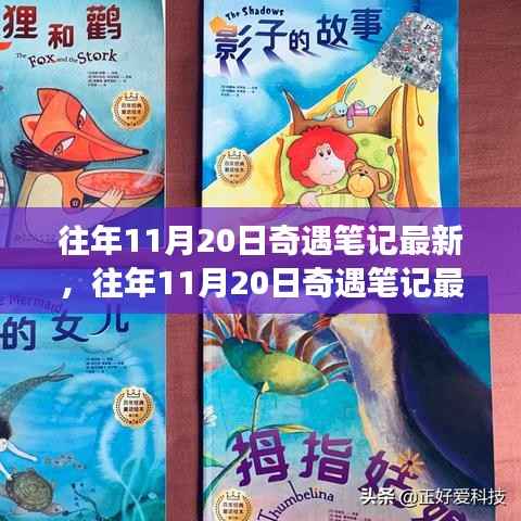 揭秘往年11月20日奇遇笔记,意想不到的旅程揭秘最新动态