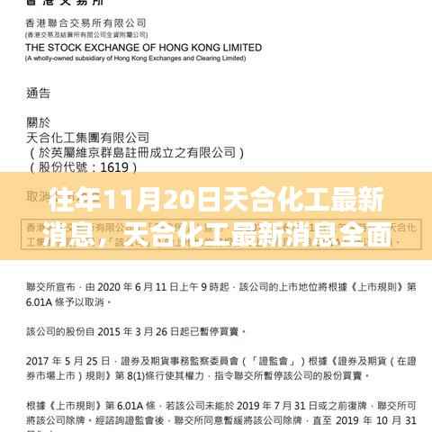 天合化工最新动态解读,产品特性、用户体验与目标用户分析揭秘