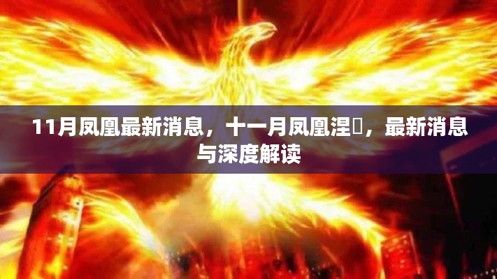 凤凰涅槃新动态,十一月最新消息与深度解读