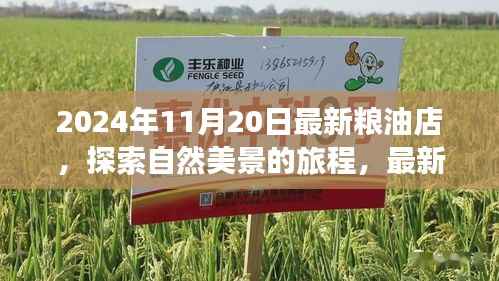 探索自然美景的旅程,最新粮油店与内心的宁静时光
