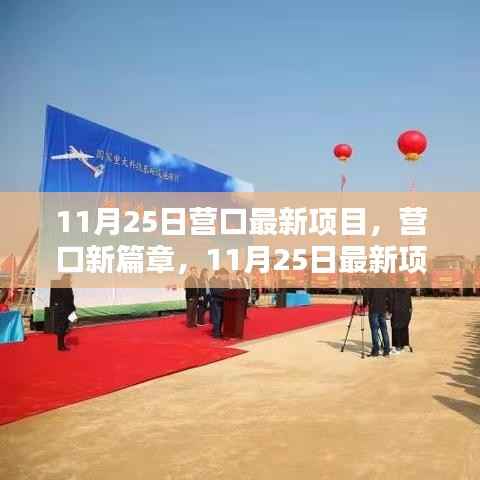 营口新篇章,11月25日最新项目探秘与揭秘