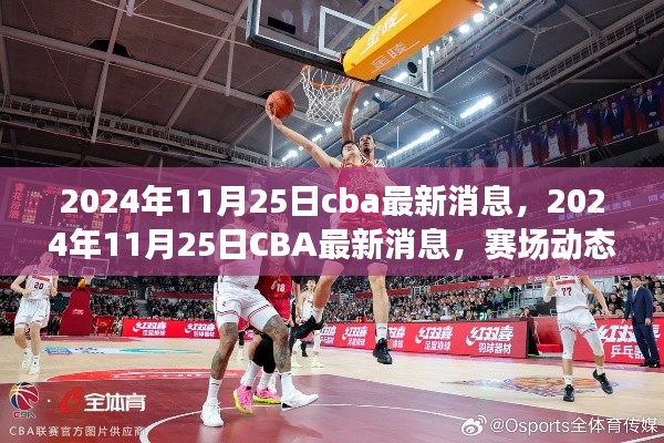 独家解析,2024年11月25日CBA赛场动态与热门话题速递