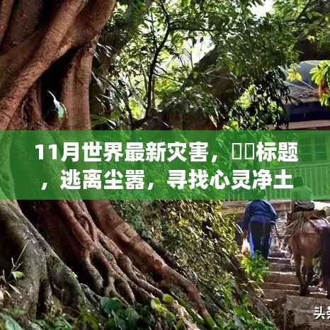 十一月探险之旅,灾难边缘的求生与心灵净土的追寻