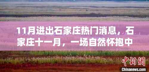 石家庄十一月,自然怀抱中的心灵之旅,进出热门消息
