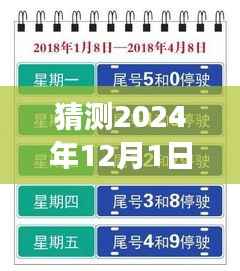 上海未来限行猜想，高架畅想曲与暖心故事，展望2024年12月的新规定
