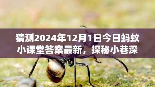 探秘蚂蚁小课堂答案背后的神秘小店,2024年12月1日小巷深处的独特风味揭晓