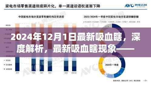 深度解析,最新吸血瞎现象——以2024年观察点观察