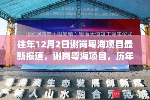 谢岗粤海项目历年深度解读与最新进展报道，历年12月2日最新报道汇总分析