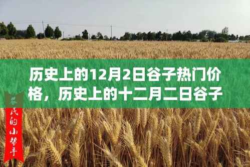 深度解析,历史上的谷子热门价格变迁与背景事件影响——十二月二日的回顾与剖析