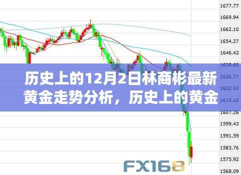 林商彬深度解析黄金走势,历史回顾与最新预测(12月2日分析)