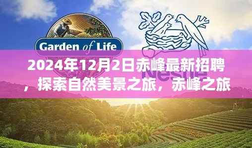 赤峰最新招聘启事,启程探索自然美景之旅,寻找内心的宁静与喜悦之旅