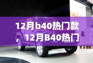 时尚风潮与个人立场,探讨十二月B40热门款