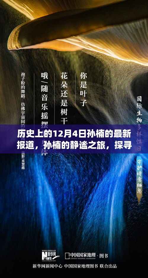 孙楠的静谧之旅,探寻自然美景与内心力量的历史报道(12月4日最新)