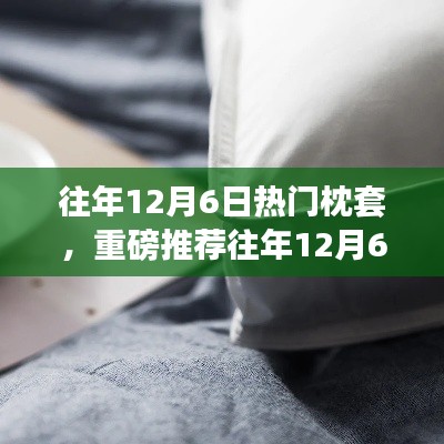 往年12月6日热销爆款枕套,舒适睡眠的新选择!