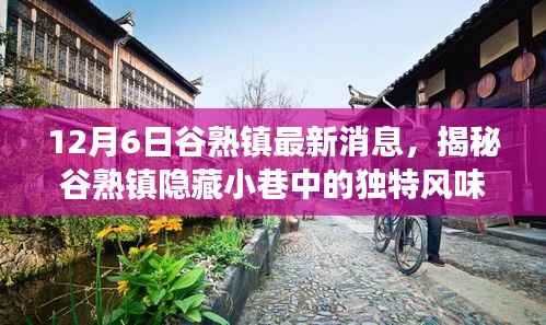 谷熟镇特色小店揭秘,隐藏小巷的独特风味最新故事