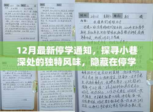 12月最新停学通知,探寻小巷深处的独特风味,隐藏在停学通知背后的秘密小店