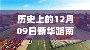 新华路南延工程最新进展与未来展望,历史探寻与最新消息