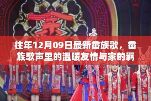 畲族歌会奇遇,歌声中的友情、家的羁绊与温暖旋律